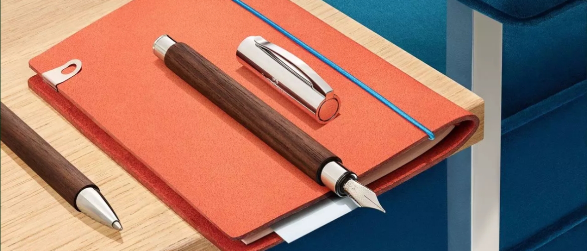 NARİN MASAÜSTÜ PROFESYONELİ: AMBITION 